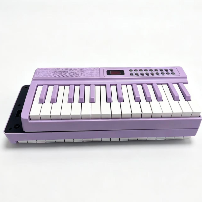 61-Key Portable Digital Piano  - đánh giá và giá Keyboard Piano 61 Key