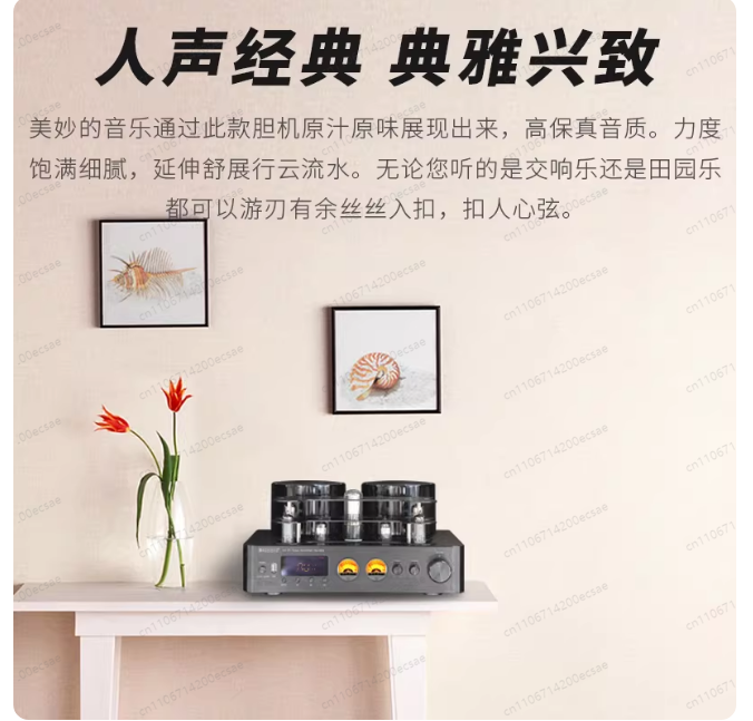 220V 400W * 2 High Fidelity Wi - đánh giá và giá Audio Youtube Music Free